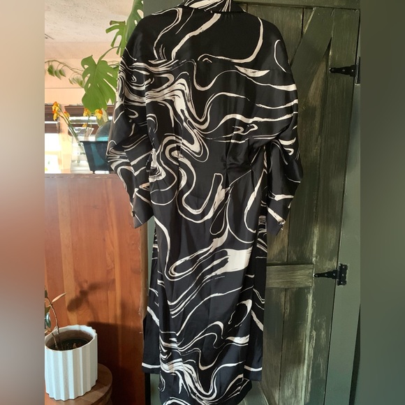 Zara Black & White Silky Dress - Picture 9 of 15